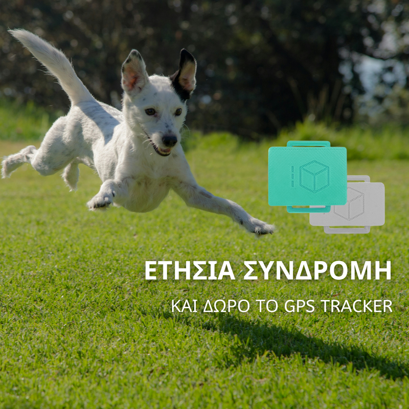 P-Box and 2 χρόνια δωρεάν συνδρομή SGS - mcubed