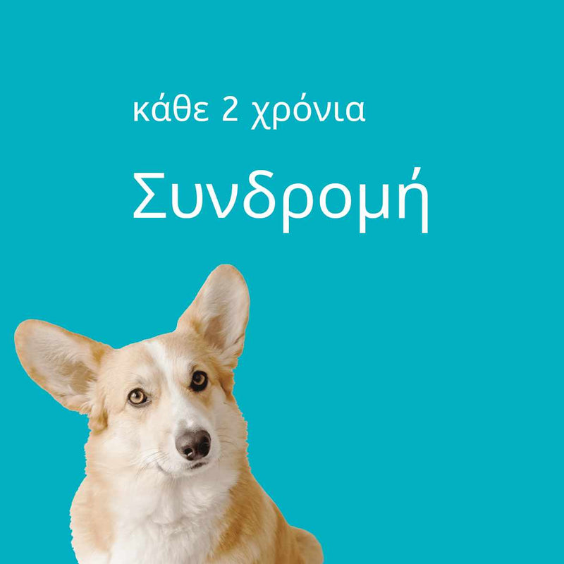 Συνδρομή 2 χρόνια - mcubed