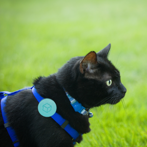 P-Tini Tracker για Κατοικίδια