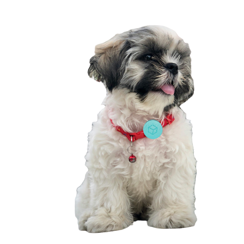 P-Tini Tracker για Κατοικίδια