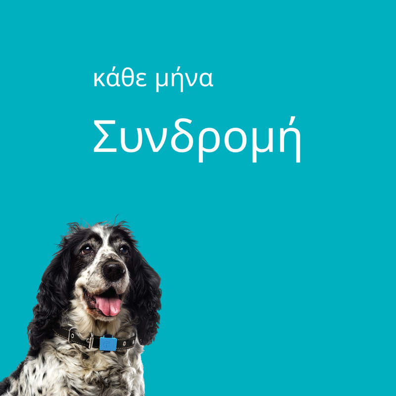 Συνδρομή 1 μήνα - mcubed