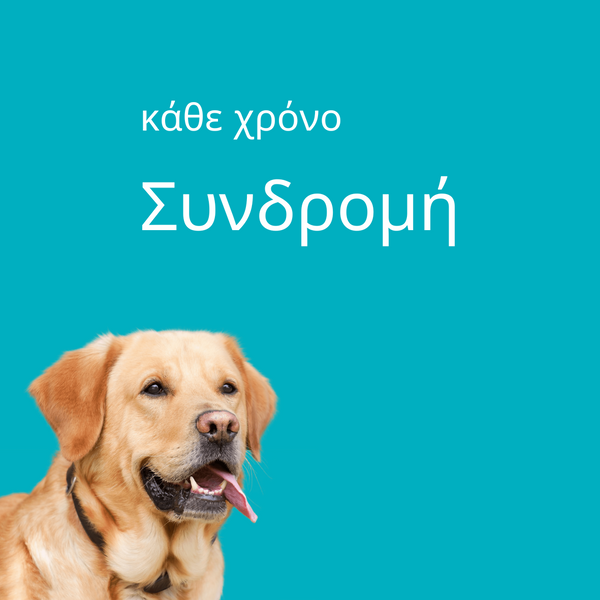 Συνδρομή 1 χρόνο - mcubed